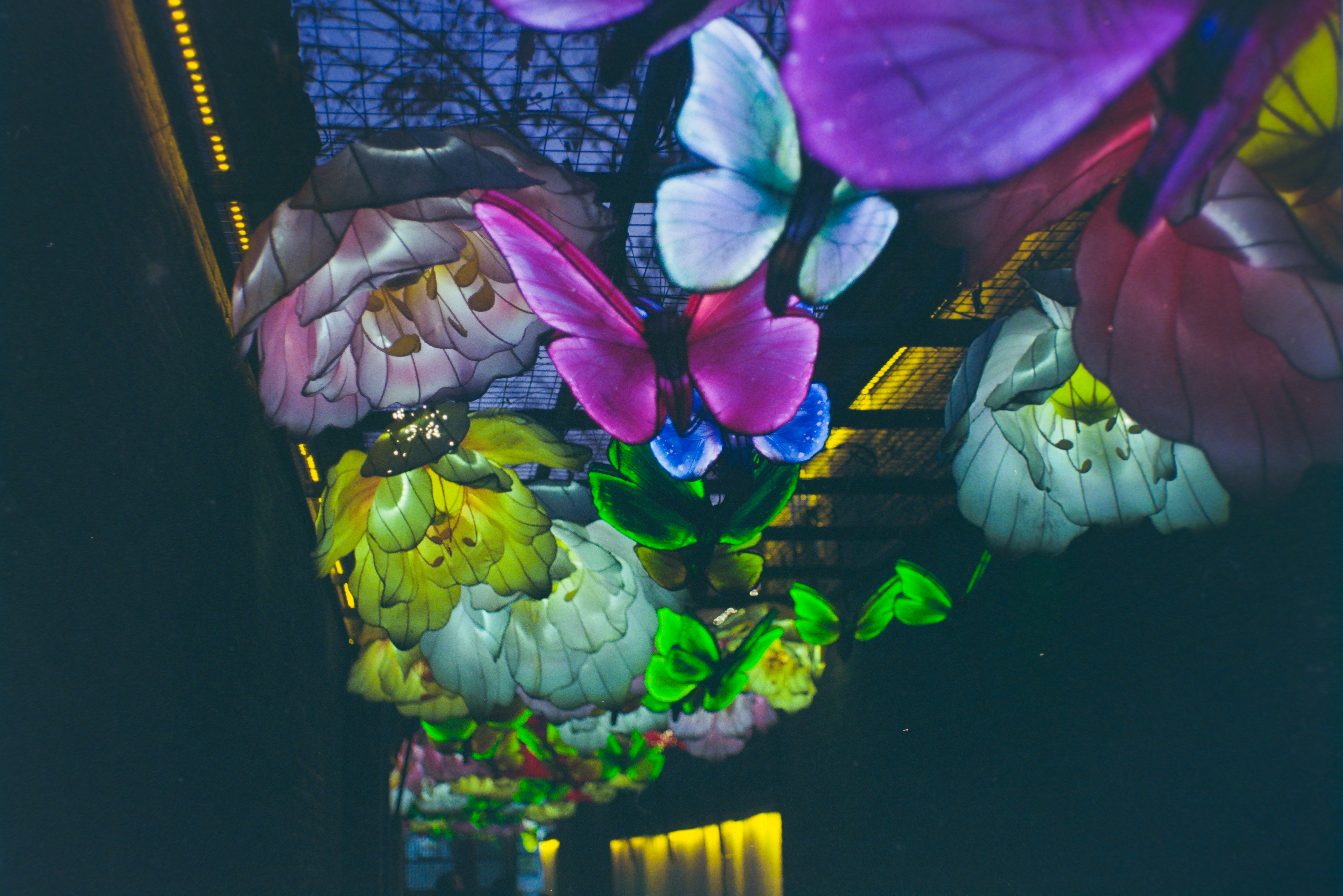 20260125 0023 https://dylanblog.oss-cn-beijing.aliyuncs.com/2026-01-26/20260125_0023.jpg