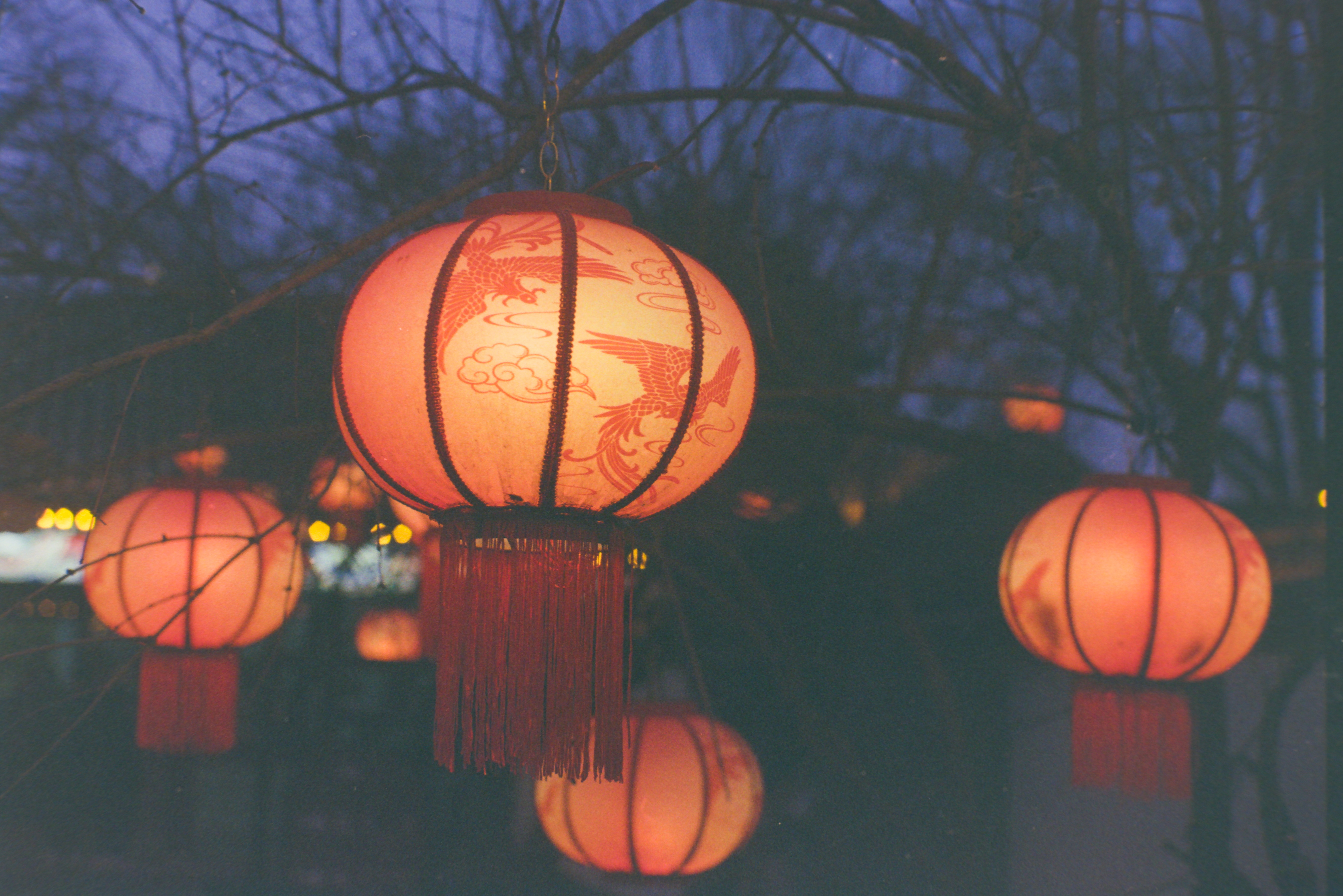 20260125 0025 https://dylanblog.oss-cn-beijing.aliyuncs.com/2026-01-26/20260125_0025.jpg