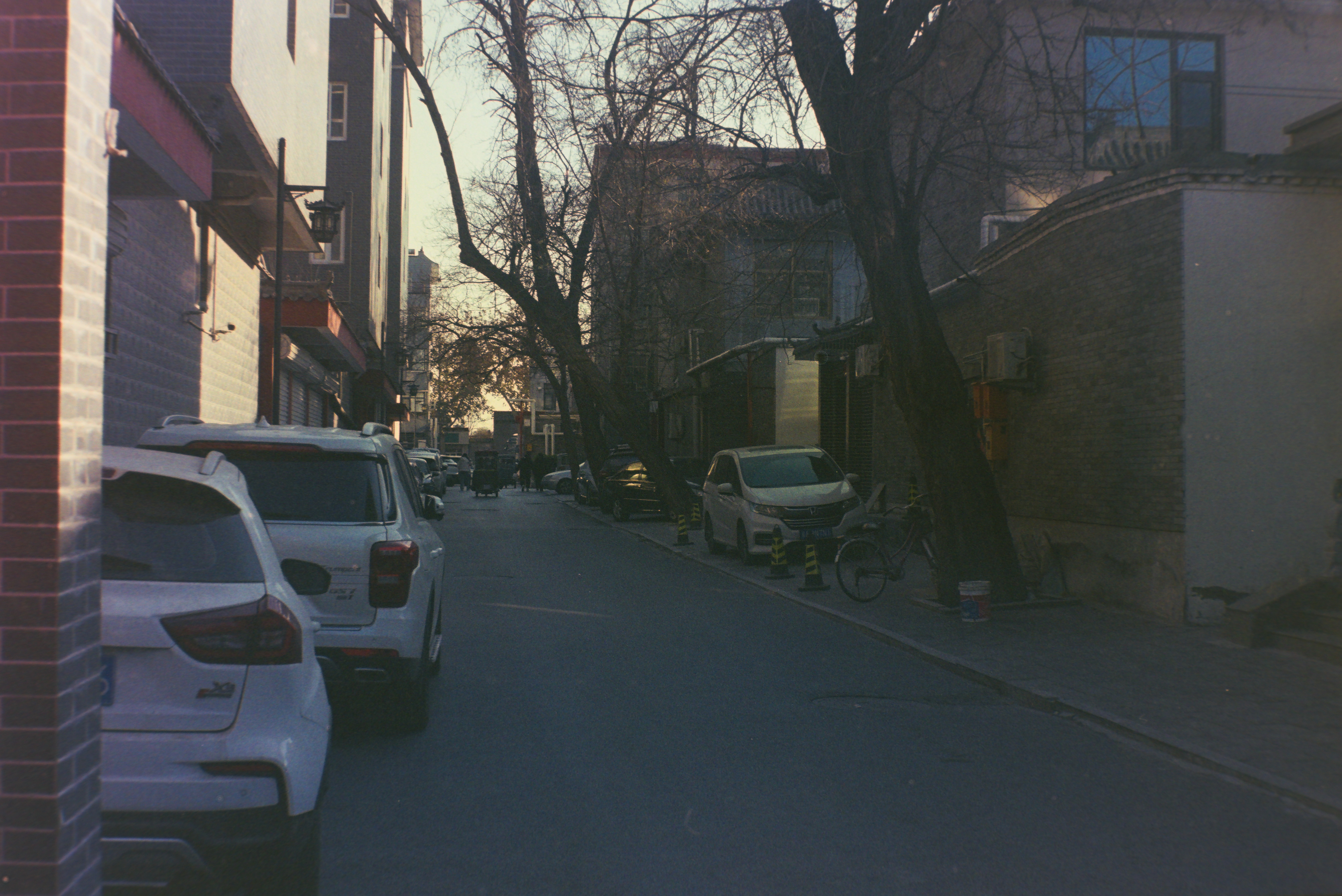 20260125 0037 https://dylanblog.oss-cn-beijing.aliyuncs.com/2026-01-26/20260125_0037.jpg